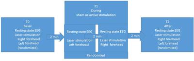 Effect of Non-invasive Vagus Nerve Stimulation on Resting-State Electroencephalography and Laser-Evoked Potentials in Migraine Patients: Mechanistic Insights